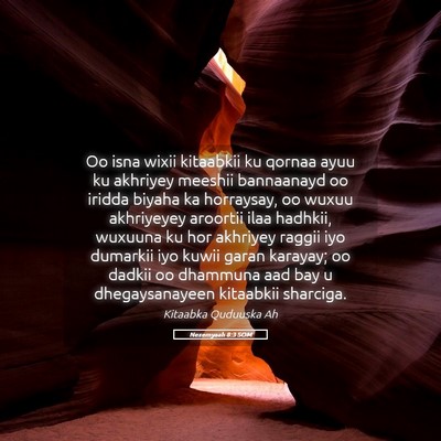 Picture 05 - Nexemyaah 8:3 SOM - Oo isna wixii kitaabkii ku qornaa ayuu ku - Bible Verse Picture
