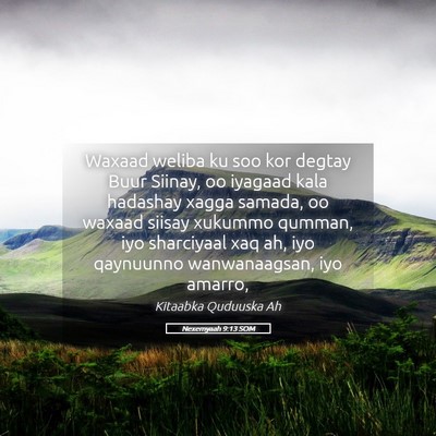 Picture 05 - Nexemyaah 9:13 SOM - Waxaad weliba ku soo kor degtay Buur Siinay, oo - Bible Verse Picture