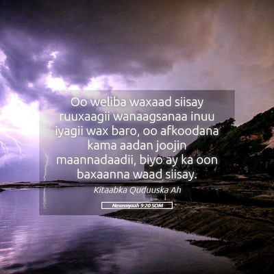 Picture 05 - Nexemyaah 9:20 SOM - Oo weliba waxaad siisay ruuxaagii wanaagsanaa - Bible Verse Picture