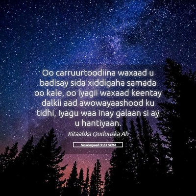 Picture 05 - Nexemyaah 9:23 SOM - Oo carruurtoodiina waxaad u badisay sida - Bible Verse Picture