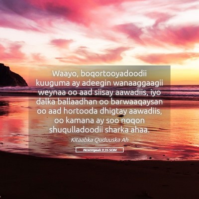 Picture 05 - Nexemyaah 9:35 SOM - Waayo, boqortooyadoodii kuuguma ay adeegin - Bible Verse Picture