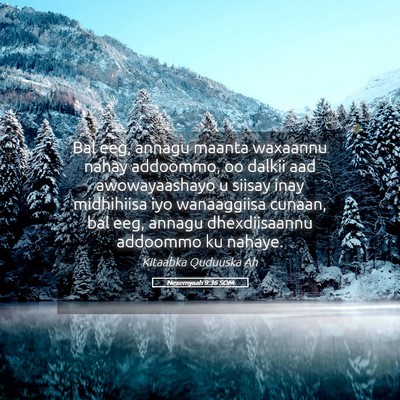 Picture 05 - Nexemyaah 9:36 SOM - Bal eeg, annagu maanta waxaannu nahay addoommo, - Bible Verse Picture