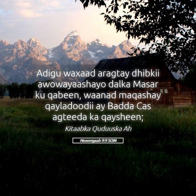 Picture 05 - Nexemyaah 9:9 SOM - Adigu waxaad aragtay dhibkii awowayaashayo dalka - Bible Verse Picture