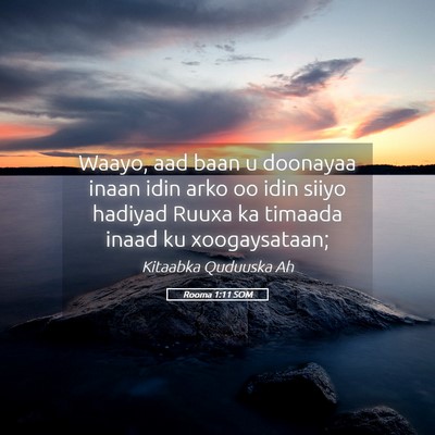 Picture 05 - Rooma 1:11 SOM - Waayo, aad baan u doonayaa inaan idin arko oo - Bible Verse Picture