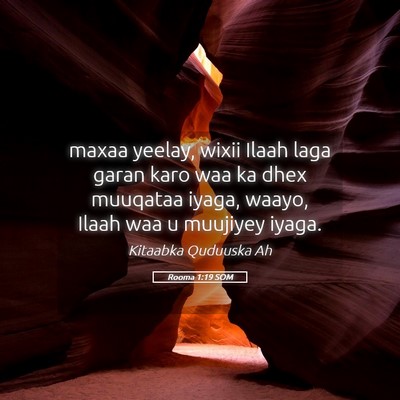 Picture 05 - Rooma 1:19 SOM - maxaa yeelay, wixii Ilaah laga garan karo waa ka - Bible Verse Picture