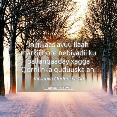 Picture 05 - Rooma 1:2 SOM - Injiilkaas ayuu Ilaah markii hore nebiyadii ku - Bible Verse Picture