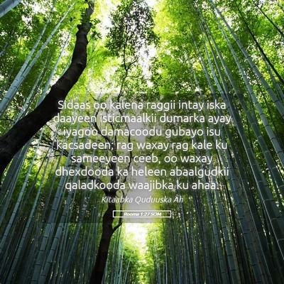 Picture 05 - Rooma 1:27 SOM - Sidaas oo kalena raggii intay iska daayeen - Bible Verse Picture