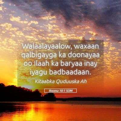 Picture 05 - Rooma 10:1 SOM - Walaalayaalow, waxaan qalbigayga ka doonayaa oo - Bible Verse Picture