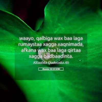 Picture 05 - Rooma 10:10 SOM - waayo, qalbiga wax baa laga rumaystaa xagga - Bible Verse Picture