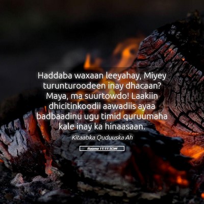 Picture 05 - Rooma 11:11 SOM - Haddaba waxaan leeyahay, Miyey turunturoodeen - Bible Verse Picture