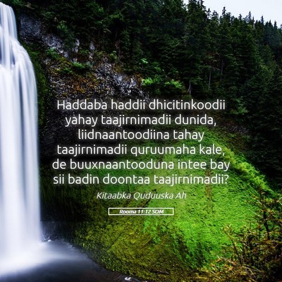 Picture 05 - Rooma 11:12 SOM - Haddaba haddii dhicitinkoodii yahay taajirnimadii - Bible Verse Picture