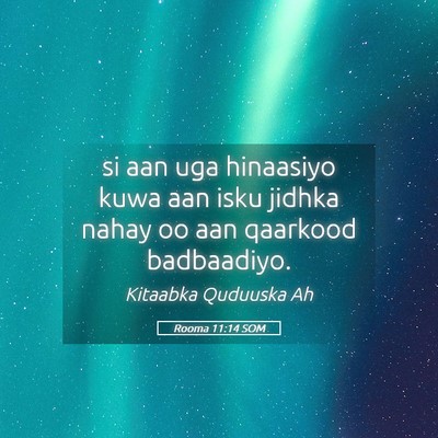 Picture 05 - Rooma 11:14 SOM - si aan uga hinaasiyo kuwa aan isku jidhka nahay - Bible Verse Picture