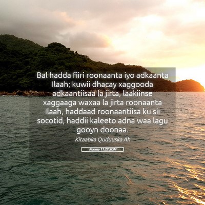 Picture 05 - Rooma 11:22 SOM - Bal hadda fiiri roonaanta iyo adkaanta Ilaah; - Bible Verse Picture
