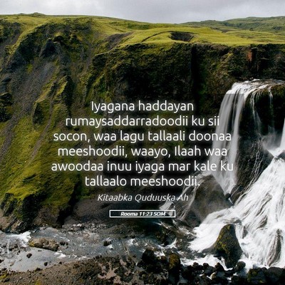 Picture 05 - Rooma 11:23 SOM - Iyagana haddayan rumaysaddarradoodii ku sii - Bible Verse Picture