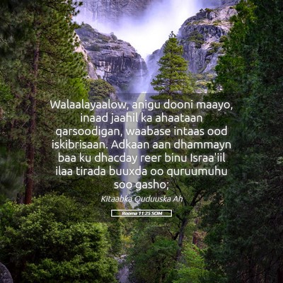 Picture 05 - Rooma 11:25 SOM - Walaalayaalow, anigu dooni maayo, inaad jaahil ka - Bible Verse Picture