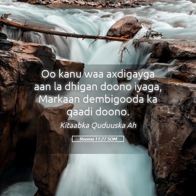 Picture 05 - Rooma 11:27 SOM - Oo kanu waa axdigayga aan la dhigan doono iyaga, - Bible Verse Picture