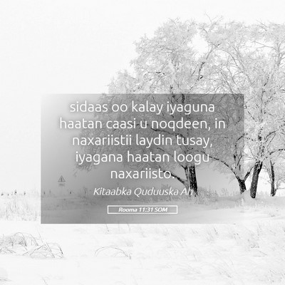 Picture 05 - Rooma 11:31 SOM - sidaas oo kalay iyaguna haatan caasi u noqdeen, - Bible Verse Picture
