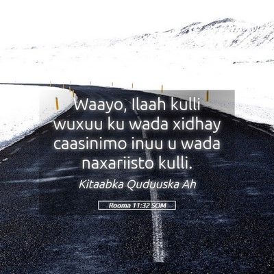 Picture 05 - Rooma 11:32 SOM - Waayo, Ilaah kulli wuxuu ku wada xidhay caasinimo - Bible Verse Picture