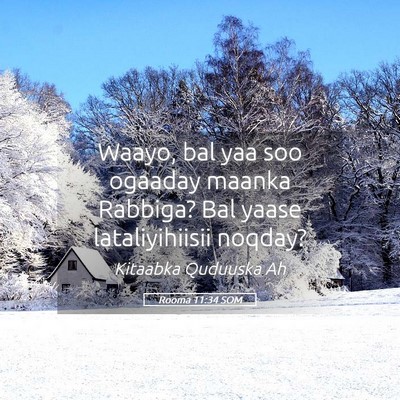 Picture 05 - Rooma 11:34 SOM - Waayo, bal yaa soo ogaaday maanka Rabbiga? Bal - Bible Verse Picture