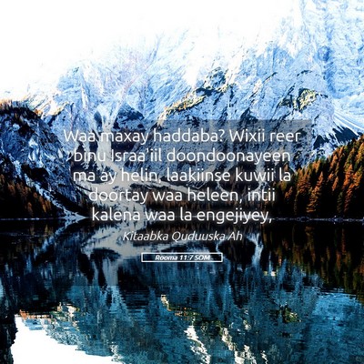 Picture 05 - Rooma 11:7 SOM - Waa maxay haddaba? Wixii reer binu Israa'iil - Bible Verse Picture