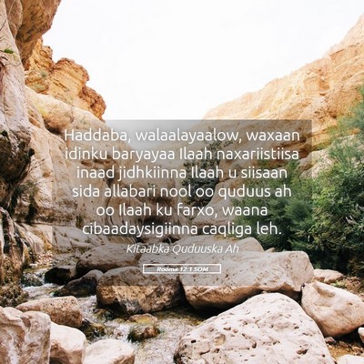 Picture 05 - Rooma 12:1 SOM - Haddaba, walaalayaalow, waxaan idinku baryayaa - Bible Verse Picture