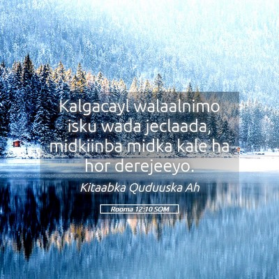 Picture 05 - Rooma 12:10 SOM - Kalgacayl walaalnimo isku wada jeclaada, - Bible Verse Picture