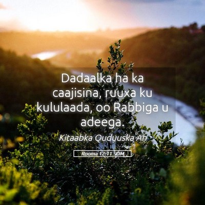 Picture 05 - Rooma 12:11 SOM - Dadaalka ha ka caajisina, ruuxa ku kululaada, oo - Bible Verse Picture