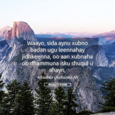 Picture 05 - Rooma 12:4 SOM - Waayo, sida aynu xubno badan ugu leennahay - Bible Verse Picture