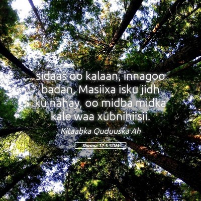 Picture 05 - Rooma 12:5 SOM - sidaas oo kalaan, innagoo badan, Masiixa isku - Bible Verse Picture