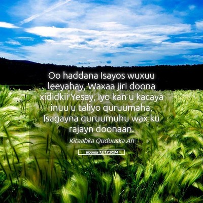 Picture 05 - Rooma 15:12 SOM - Oo haddana Isayos wuxuu leeyahay, Waxaa jiri - Bible Verse Picture