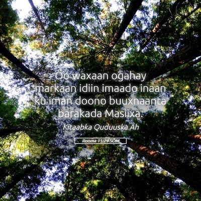 Picture 05 - Rooma 15:29 SOM - Oo waxaan ogahay markaan idiin imaado inaan ku - Bible Verse Picture