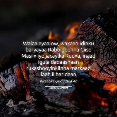 Picture 05 - Rooma 15:30 SOM - Walaalayaalow, waxaan idinku baryayaa Rabbigeenna - Bible Verse Picture