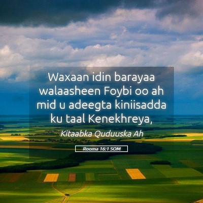 Picture 05 - Rooma 16:1 SOM - Waxaan idin barayaa walaasheen Foybi oo ah mid u - Bible Verse Picture