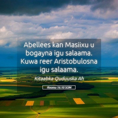 Picture 05 - Rooma 16:10 SOM - Abellees kan Masiixu u bogayna igu salaama. Kuwa - Bible Verse Picture