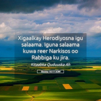 Picture 05 - Rooma 16:11 SOM - Xigaalkay Herodiyosna igu salaama. Iguna salaama - Bible Verse Picture