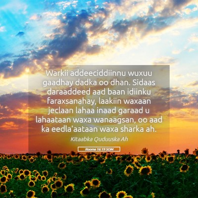 Picture 05 - Rooma 16:19 SOM - Warkii addeeciddiinnu wuxuu gaadhay dadka oo - Bible Verse Picture