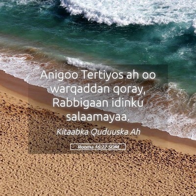 Picture 05 - Rooma 16:22 SOM - Anigoo Tertiyos ah oo warqaddan qoray, Rabbigaan - Bible Verse Picture