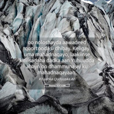 Picture 05 - Rooma 16:4 SOM - oo noloshayda aawadeed qoortooda u dhibay. - Bible Verse Picture