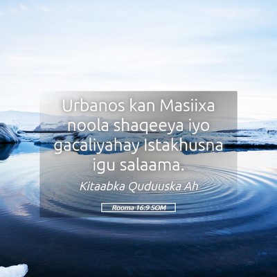 Picture 05 - Rooma 16:9 SOM - Urbanos kan Masiixa noola shaqeeya iyo - Bible Verse Picture