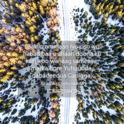 Picture 05 - Rooma 2:10 SOM - Laakiin ammaan iyo ciso iyo nabad baa u ahaan - Bible Verse Picture