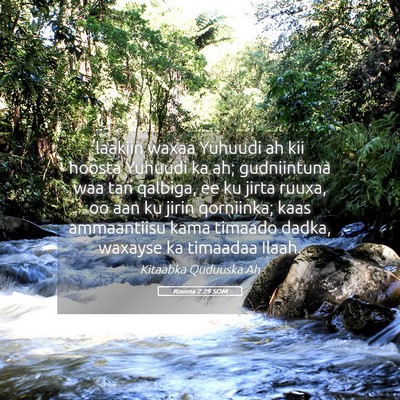 Picture 05 - Rooma 2:29 SOM - laakiin waxaa Yuhuudi ah kii hoosta Yuhuudi ka - Bible Verse Picture