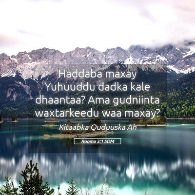 Picture 05 - Rooma 3:1 SOM - Haddaba maxay Yuhuuddu dadka kale dhaantaa? Ama - Bible Verse Picture