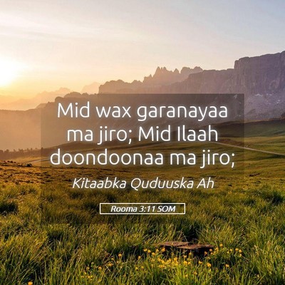 Picture 05 - Rooma 3:11 SOM - Mid wax garanayaa ma jiro; Mid Ilaah doondoonaa - Bible Verse Picture