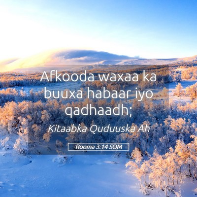 Picture 05 - Rooma 3:14 SOM - Afkooda waxaa ka buuxa habaar iyo - Bible Verse Picture