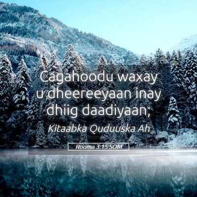 Picture 05 - Rooma 3:15 SOM - Cagahoodu waxay u dheereeyaan inay dhiig - Bible Verse Picture