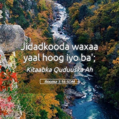 Picture 05 - Rooma 3:16 SOM - Jidadkooda waxaa yaal hoog iyo - Bible Verse Picture