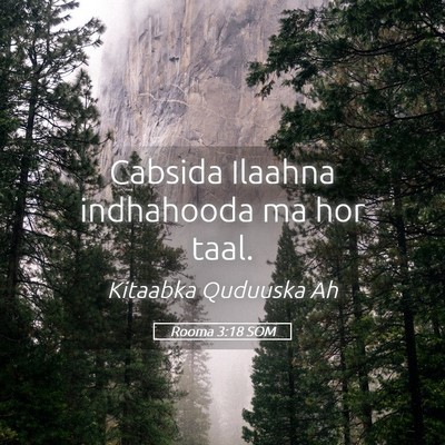 Picture 05 - Rooma 3:18 SOM - Cabsida Ilaahna indhahooda ma hor - Bible Verse Picture