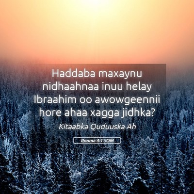 Picture 05 - Rooma 4:1 SOM - Haddaba maxaynu nidhaahnaa inuu helay Ibraahim oo - Bible Verse Picture