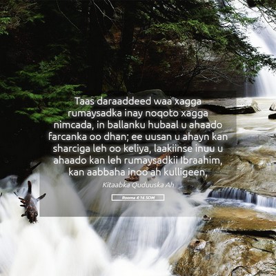 Picture 05 - Rooma 4:16 SOM - Taas daraaddeed waa xagga rumaysadka inay noqoto - Bible Verse Picture