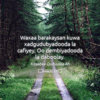 Picture 05 - Rooma 4:7 SOM - Waxaa barakaysan kuwa xadgudubyadooda la cafiyey, - Bible Verse Picture